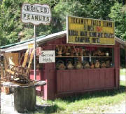 BoiledPeanutStand.jpg BoiledPeanutStand.jpg